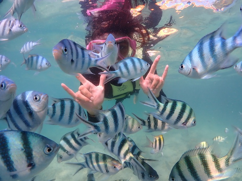 Snorkeling in Koh Lipe