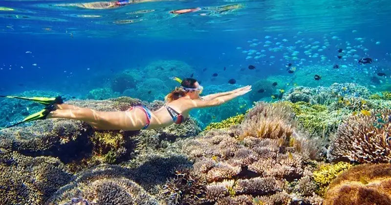 snorkeling in Thailand