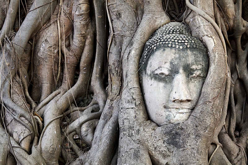 wat mahathat en ayutthaya