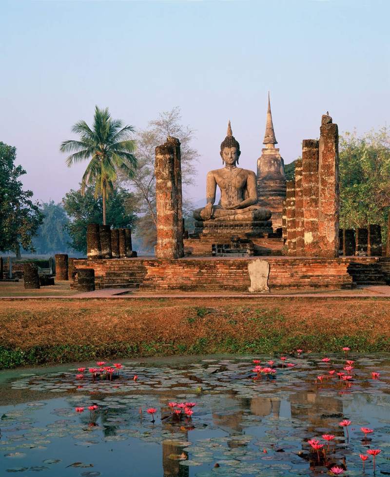 Wat Mahathat and the enchanting lotuses