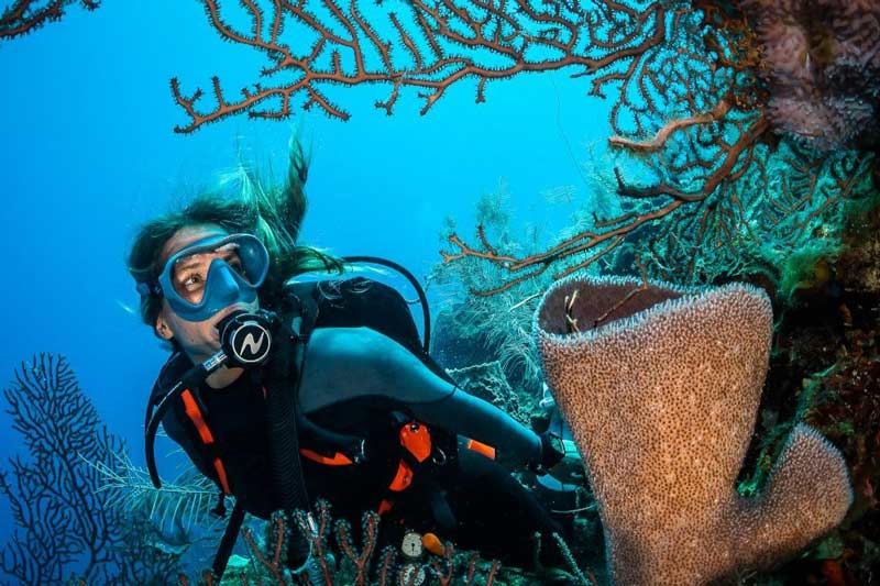 Ao Mae Yai Bay diving