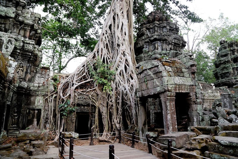 ta prohm