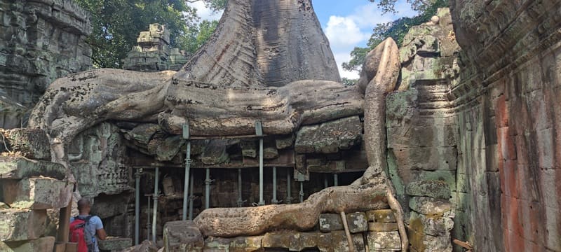 ta prohm