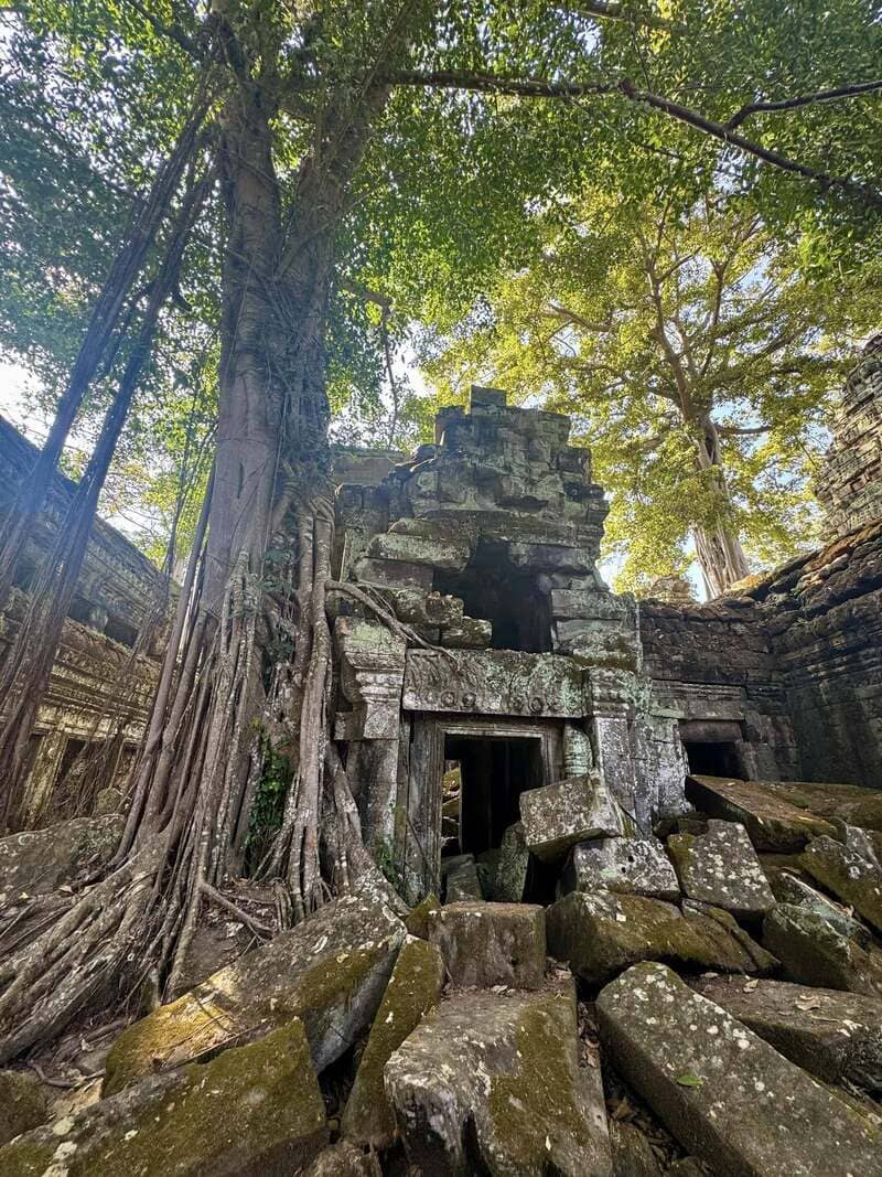 monumentos en ta prohm