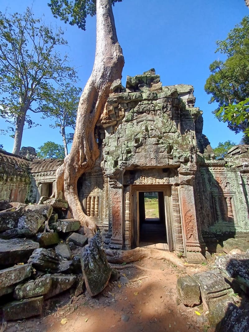 ta prohm