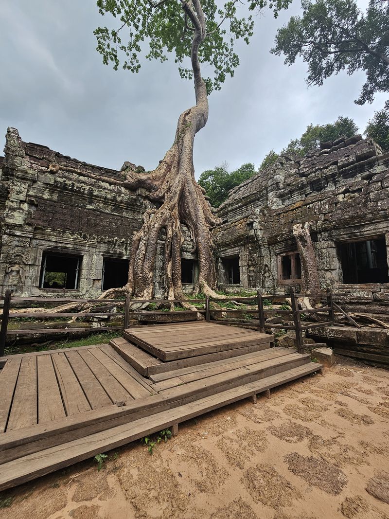 templo ta prohm