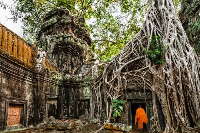 Ta Prohm is known for its spectacular integration with the jungle, where gigantic tree roots