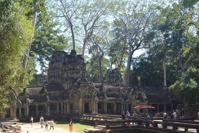 Overview of Ta Prohm Temple