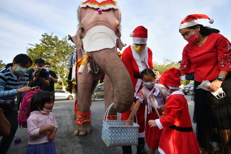 tailandia en navidad