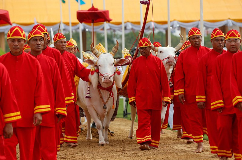 festival en tailandia en mayo