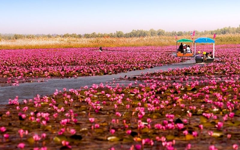 temperatura de tailandia en noviembre