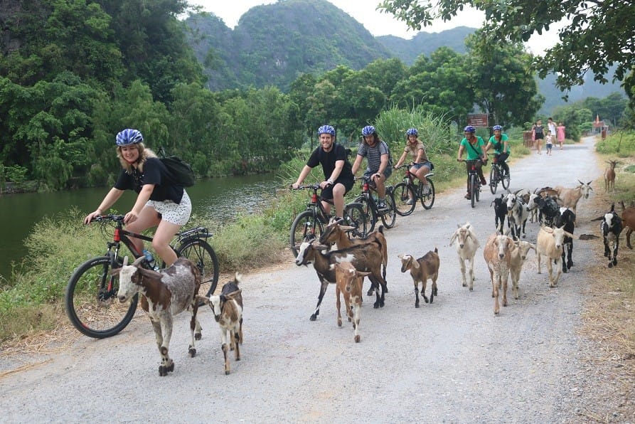 Cycling in Vietnam will never be easier than in Tam Coc