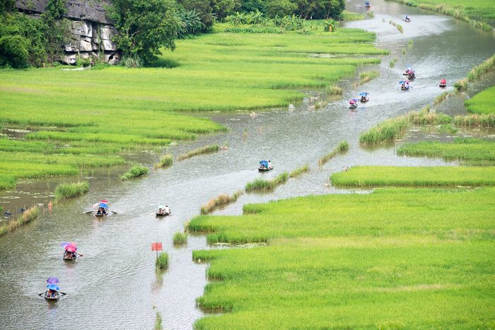 tam coc