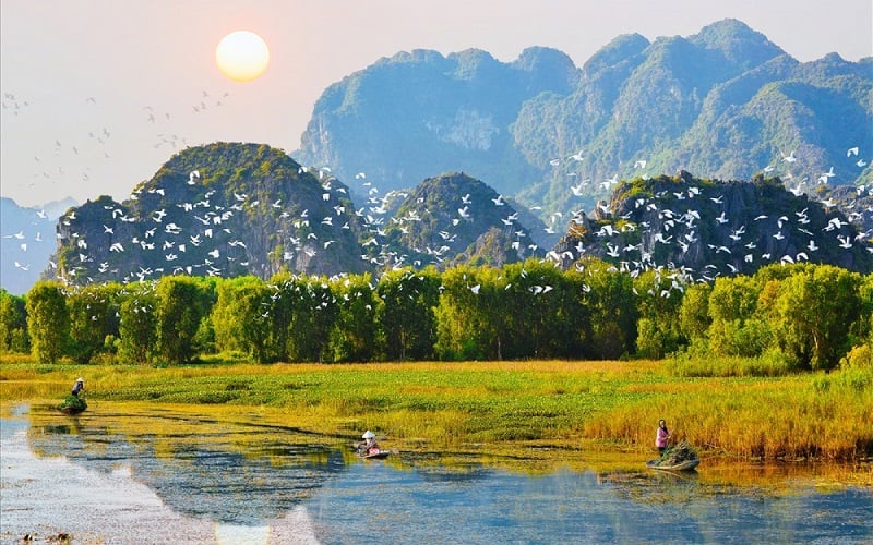 Lost in the kingdom of birds in Ninh Binh