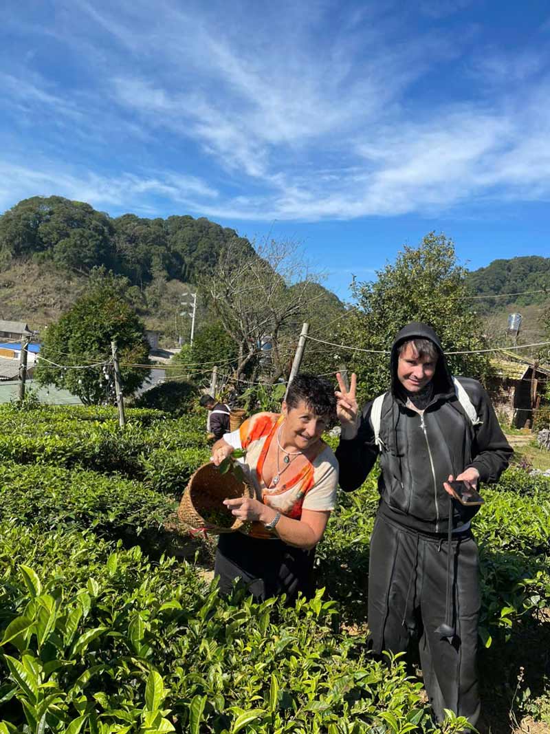 Our travelers picking tea leaves, embracing Vietnam's tea tradition