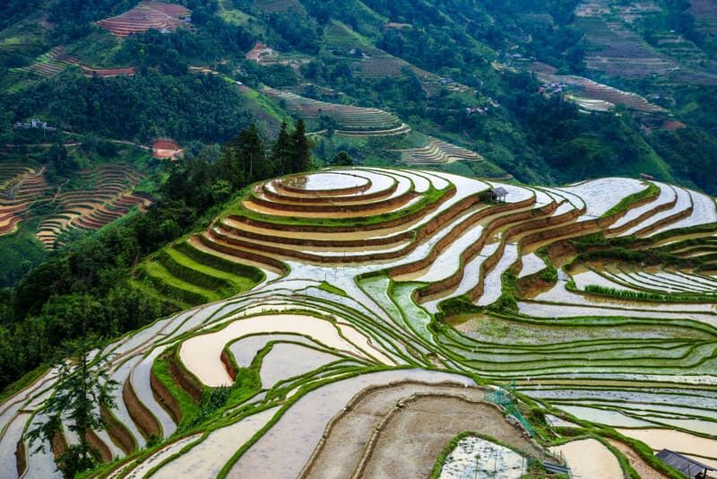 terrazas de arroz en hoang su phi