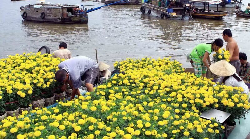 flores en tet vietnamita