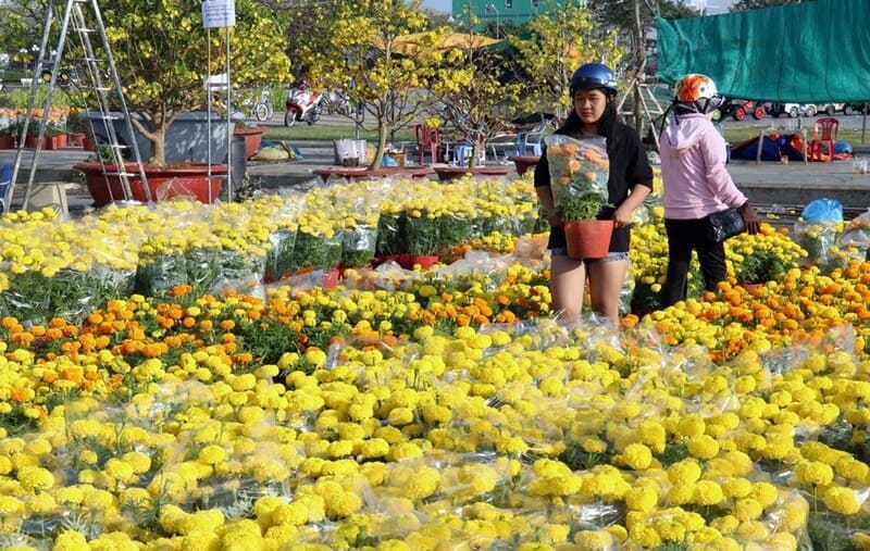 In February, this region becomes a major source of flowers for New Year decorations.