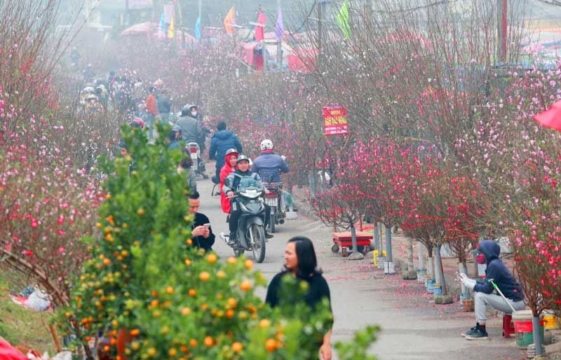 flower market