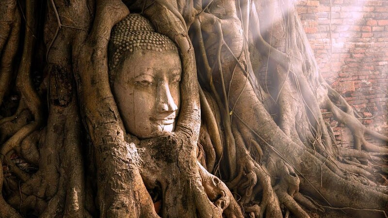 The majestic statue of the Buddha emerging from the roots of a fig tree