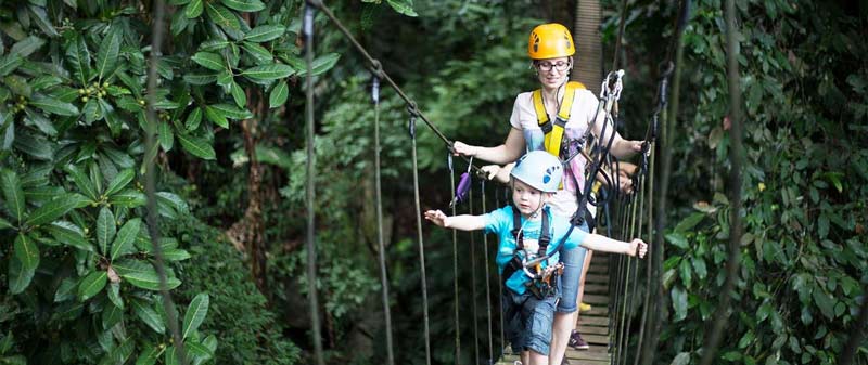  Flight of the Gibbon zip-lining experience in Chiang Mai