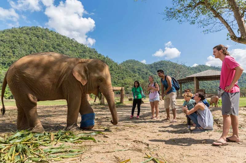 Elephant Nature Park