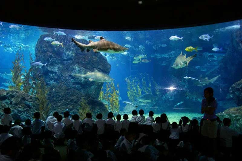 SEA Life Bangkok Ocean World at Siam Paragon