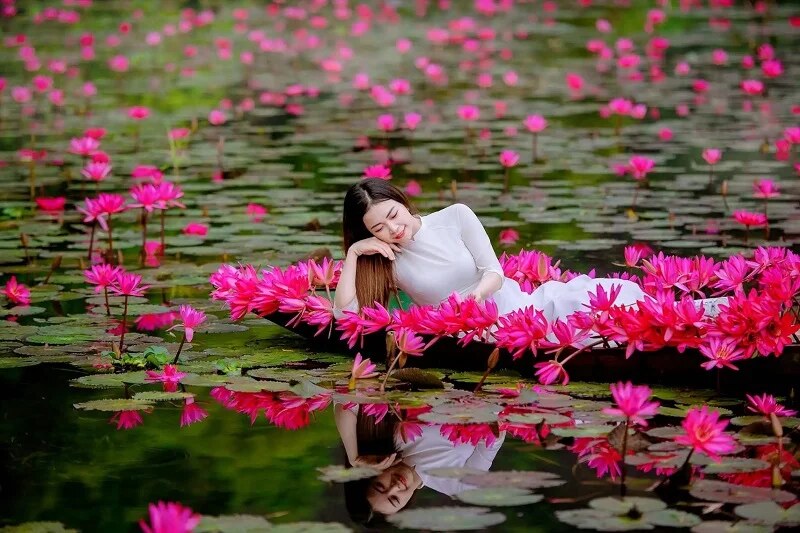 Thung Nang in lotus blooming season