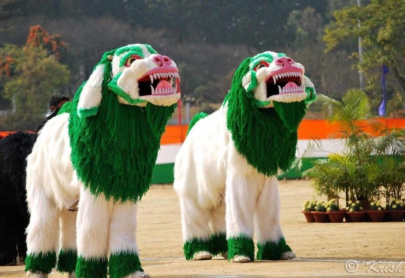 Tibeten Lion Dance