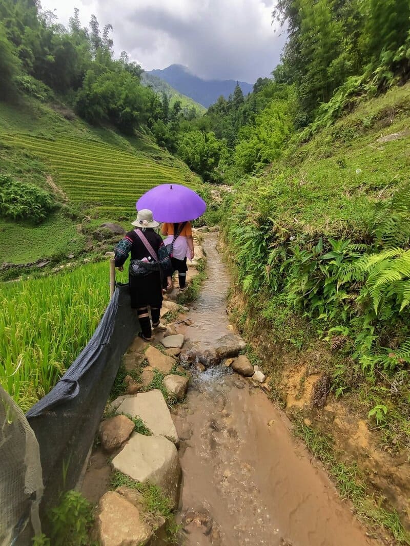 Trekking route in Cat Cat