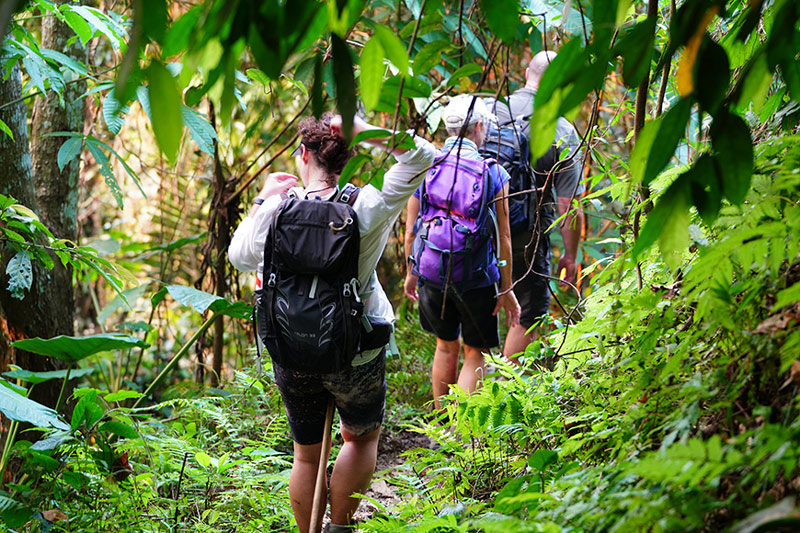 Hiking in the middle of Ba Be National Park