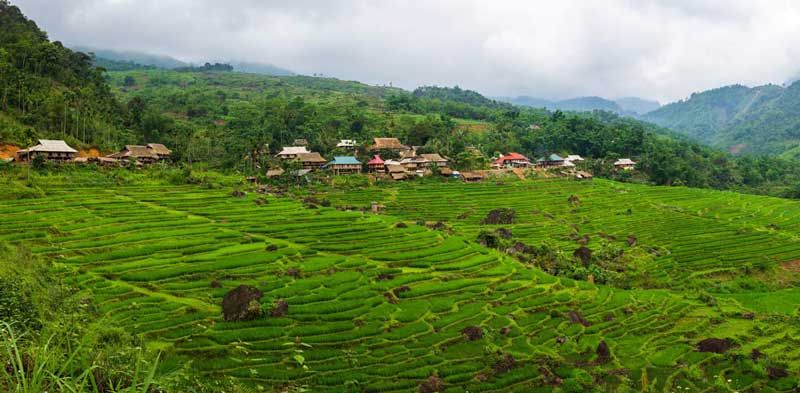 The terraced fields of Pu Luong are slightly lower than those of Sapa and Ha Giang