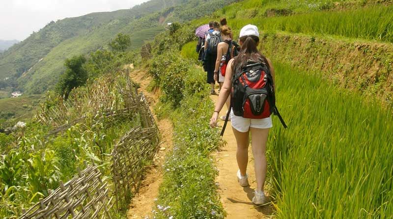 Visitors are walking through the fields with the local guide