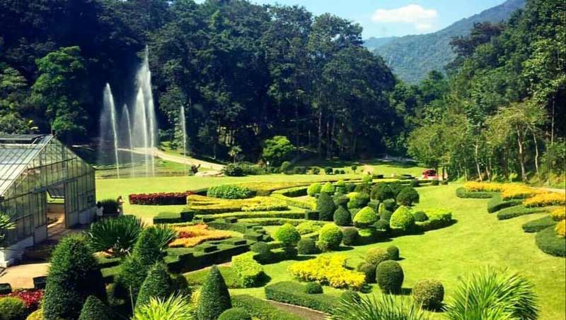 tropical garden in bangkok