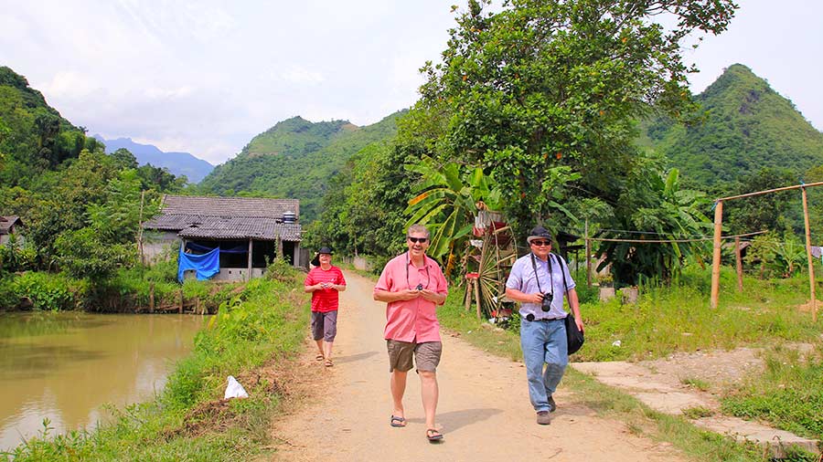 International tourists excitedly stroll around Trung Do pine forest