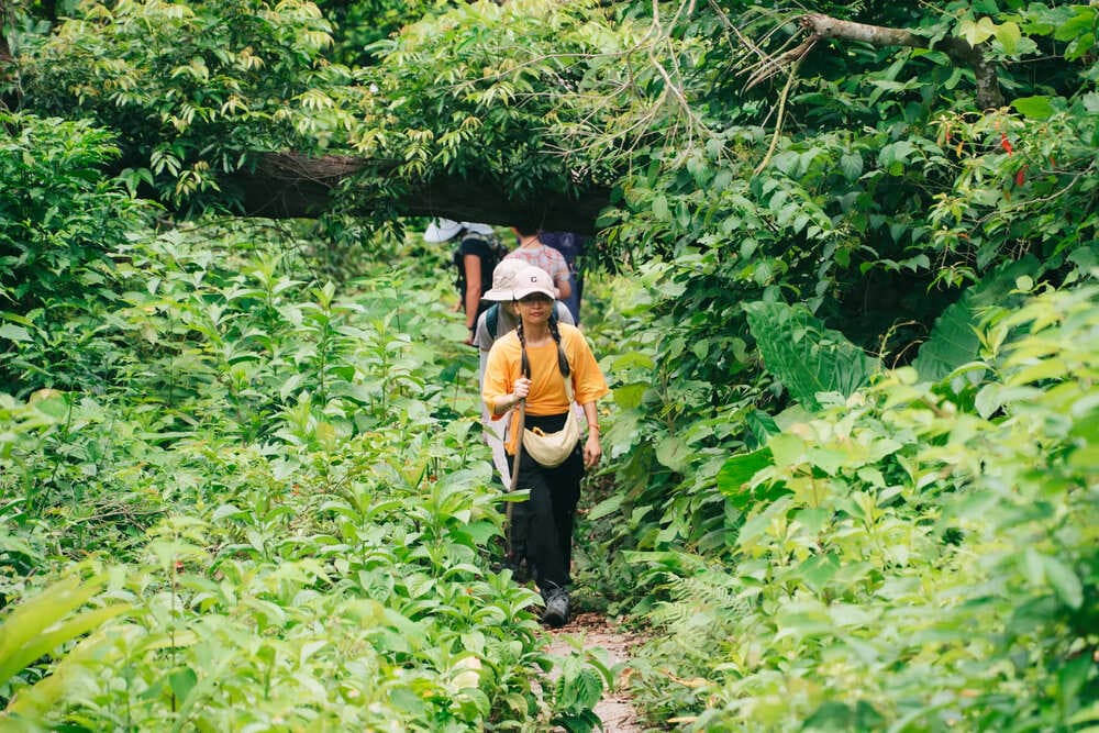 trekking in Cat Ba national park with my friends