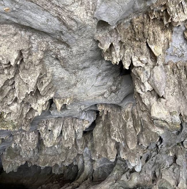 Natural stalactites in caves