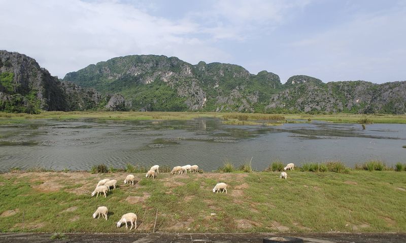 The tranquil landscape seen from the dike