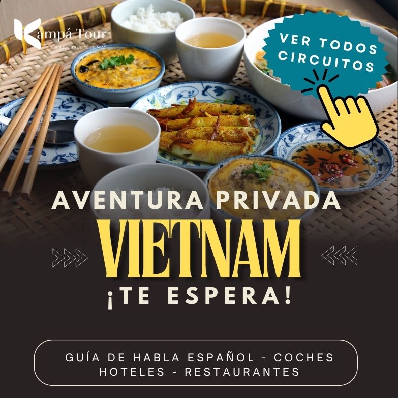 viajes a vietnam - explorar comida
