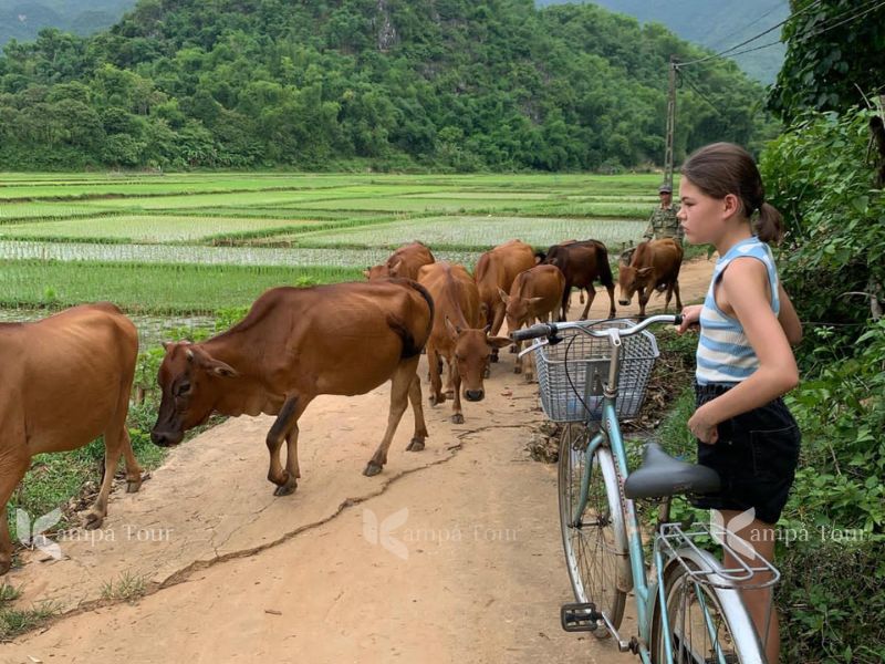 niña en la zona rural de vietnam