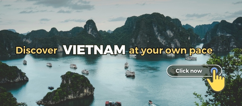 vietnam tours