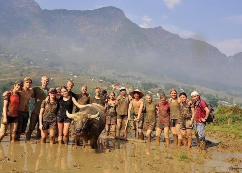 A large group of young Western tourists covered in mud posing with a water buffalo in a terraced rice field in Sapa, Vietnam.