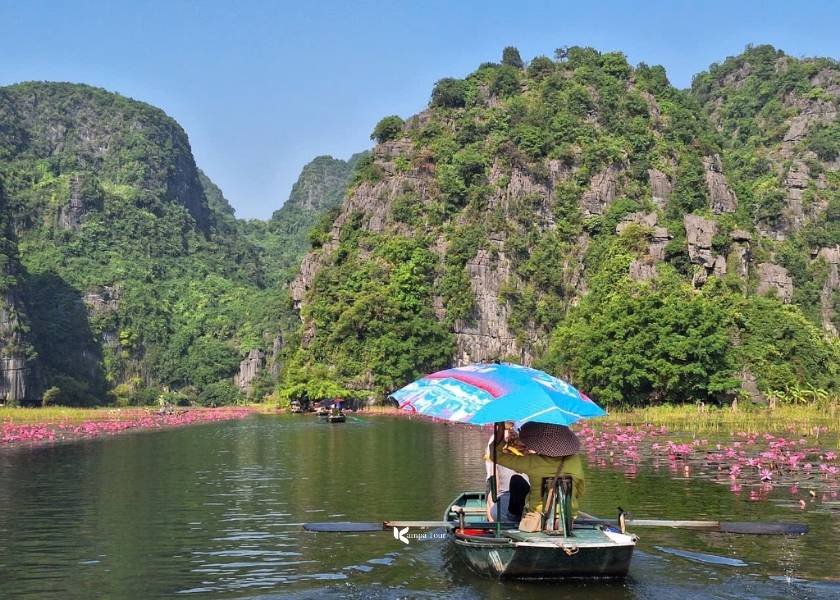 Travellers at Kampá Tour are taking a boat trip in Trang An during the water lily season.