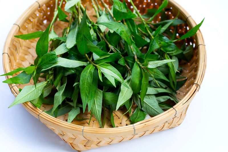 Chicken salad (Gỏi/nộm gà)