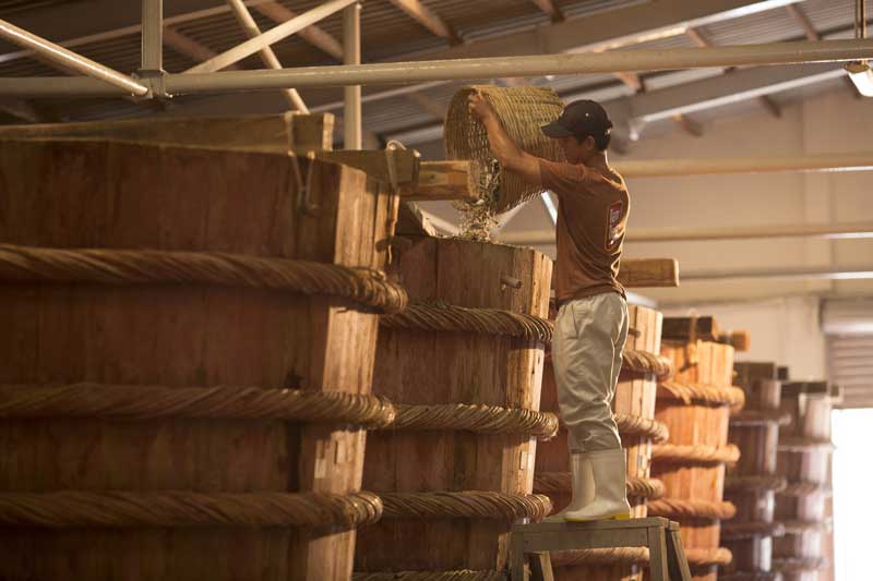 The production of nuoc mam on Phan Thiet