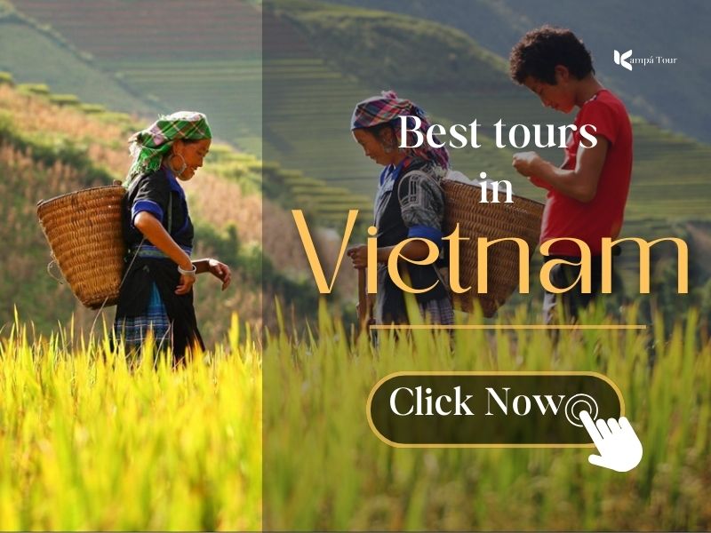 https://kampatour.com/vietnam-tours