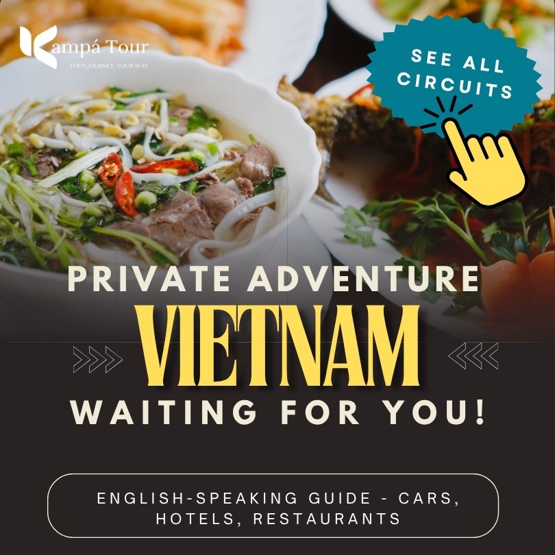 vietnam tours