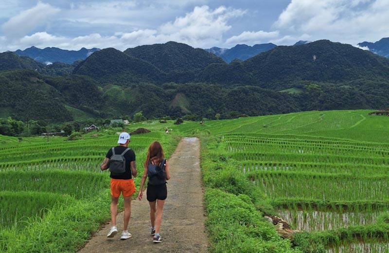 green lush of sapa