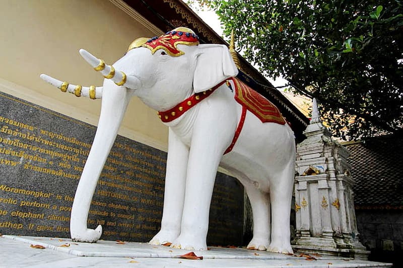 The elephant, a symbol of strength and wisdom, has stood the test of time.