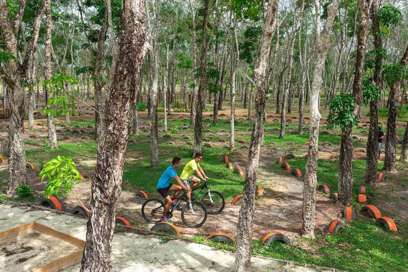 Forest Park offers a variety of sports in a unique forest environment